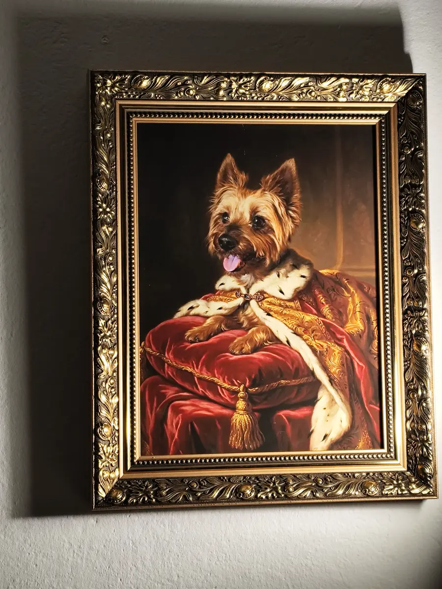 Królewski portret york terrier w purpurowej szacie królewskiej z gronostajowym kołnierzem — portret w stylu barokowego malarstwa olejnego